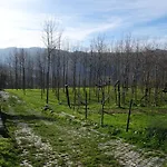 Quinta De S. Cipriano Nyaraló
