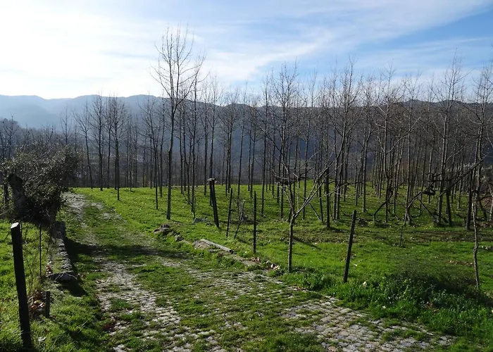 Quinta De S. Cipriano Tatil Evi