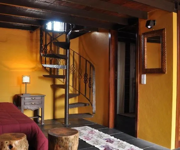 Quinta De S. Cipriano Tatil Evi