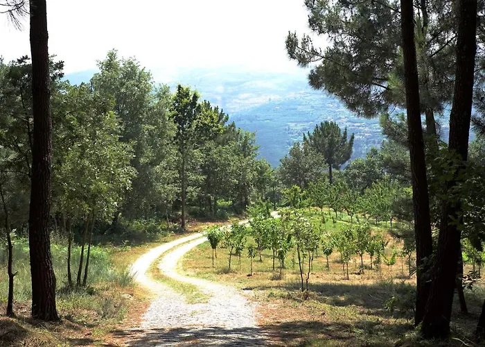 Hébergement de vacances Quinta De S. Cipriano *