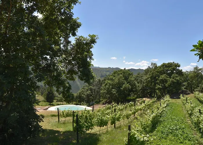 Feriehus Quinta De S. Cipriano *